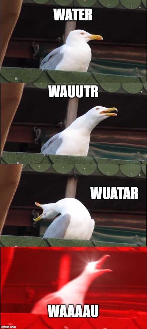 Inhaling Seagull Meme | WATER; WAUUTR; WUATAR; WAAAAU | image tagged in memes,inhaling seagull | made w/ Imgflip meme maker