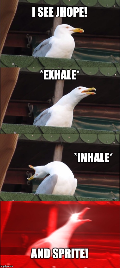 Inhaling Seagull | I SEE JHOPE! *EXHALE*; *INHALE*; AND SPRITE! | image tagged in memes,inhaling seagull | made w/ Imgflip meme maker
