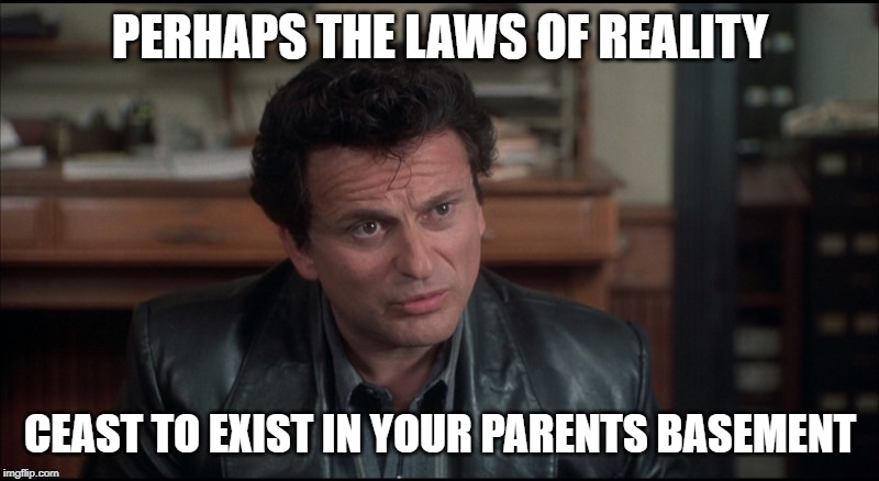 My Cousin Vinny | PERHAPS THE LAWS OF REALITY CEAST TO EXIST IN YOUR PARENTS BASEMENT | image tagged in my cousin vinny | made w/ Imgflip meme maker