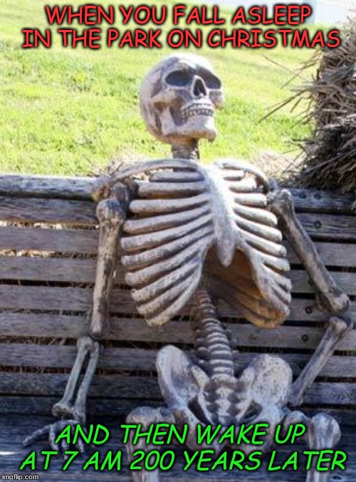 Waiting Skeleton Meme | WHEN YOU FALL ASLEEP IN THE PARK ON CHRISTMAS; AND THEN WAKE UP AT 7 AM 200 YEARS LATER | image tagged in memes,waiting skeleton | made w/ Imgflip meme maker