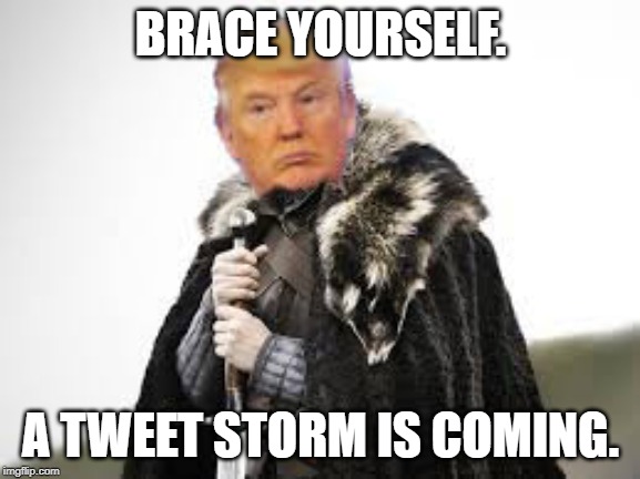 Brace Yourself | BRACE YOURSELF. A TWEET STORM IS COMING. | image tagged in donald trump brace yourself,tweet,tweet storm | made w/ Imgflip meme maker