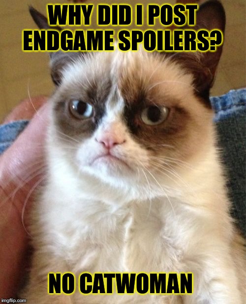 Grumpy Cat | WHY DID I POST ENDGAME SPOILERS? NO CATWOMAN | image tagged in memes,grumpy cat | made w/ Imgflip meme maker