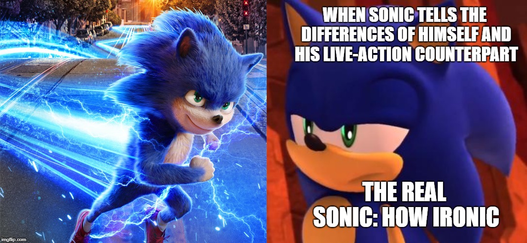WHEN SONIC TELLS THE DIFFERENCES OF HIMSELF AND HIS LIVE-ACTION COUNTERPART; THE REAL SONIC: HOW IRONIC | image tagged in disappointed sonic | made w/ Imgflip meme maker