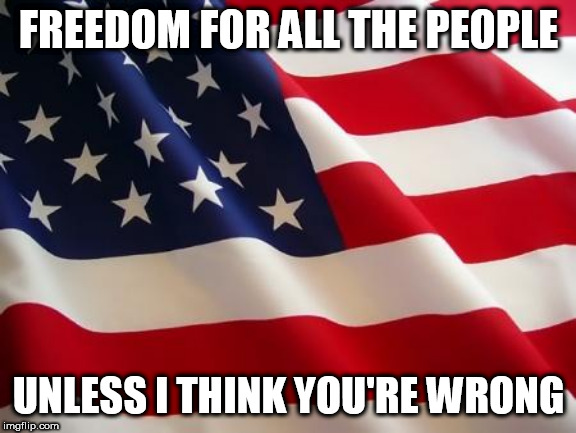 American flag | FREEDOM FOR ALL THE PEOPLE; UNLESS I THINK YOU'RE WRONG | image tagged in american flag,gwar,the morality squad,freedom,wrong,america | made w/ Imgflip meme maker
