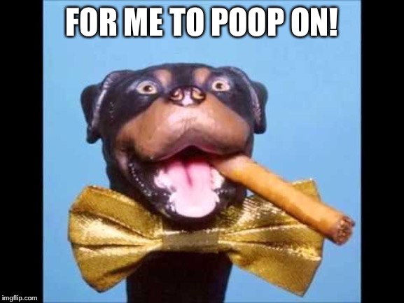 Triumph Comic To Poop On | FOR ME TO POOP ON! | image tagged in triumph comic to poop on | made w/ Imgflip meme maker