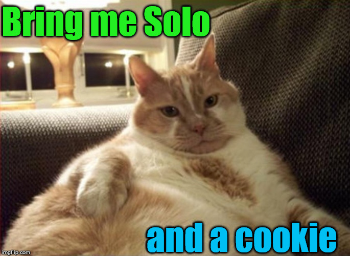 Wants the cookie more | Bring me Solo; and a cookie | image tagged in cookies,fat cat,han solo | made w/ Imgflip meme maker
