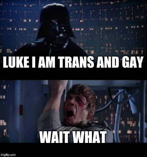 Star Wars No | LUKE I AM TRANS AND GAY; WAIT WHAT | image tagged in memes,star wars no | made w/ Imgflip meme maker