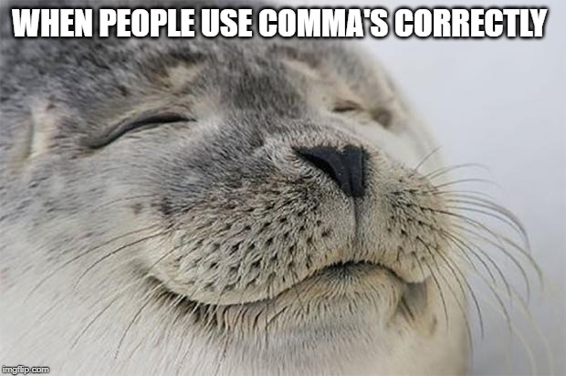 Satisfied Seal Meme | WHEN PEOPLE USE COMMA'S CORRECTLY | image tagged in memes,satisfied seal | made w/ Imgflip meme maker