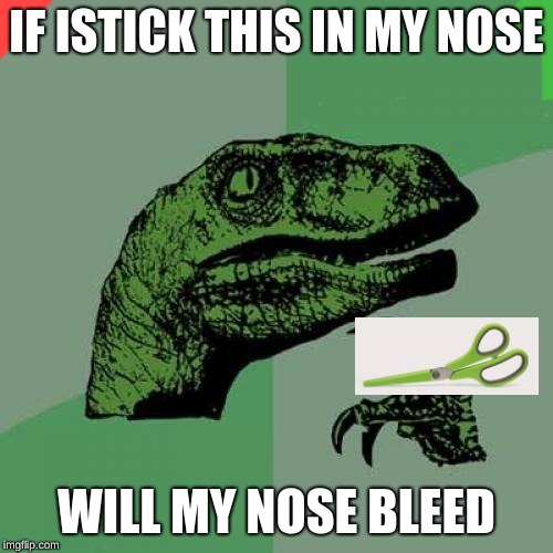 Philosoraptor Meme | IF ISTICK THIS IN MY NOSE; WILL MY NOSE BLEED | image tagged in memes,philosoraptor | made w/ Imgflip meme maker