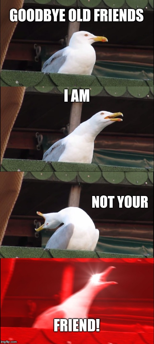 Inhaling Seagull | GOODBYE OLD FRIENDS; I AM; NOT YOUR; FRIEND! | image tagged in memes,inhaling seagull | made w/ Imgflip meme maker