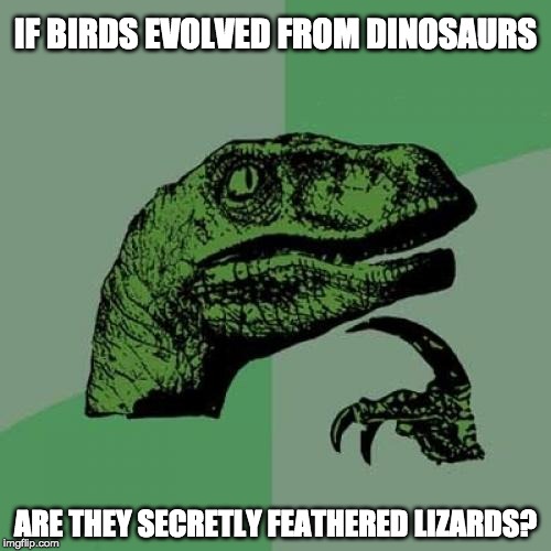 Philosoraptor | IF BIRDS EVOLVED FROM DINOSAURS; ARE THEY SECRETLY FEATHERED LIZARDS? | image tagged in memes,philosoraptor | made w/ Imgflip meme maker