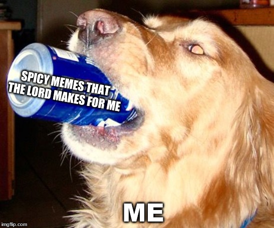 me and some memes | SPICY MEMES THAT THE LORD MAKES FOR ME; ME | image tagged in dank memes,dogs | made w/ Imgflip meme maker