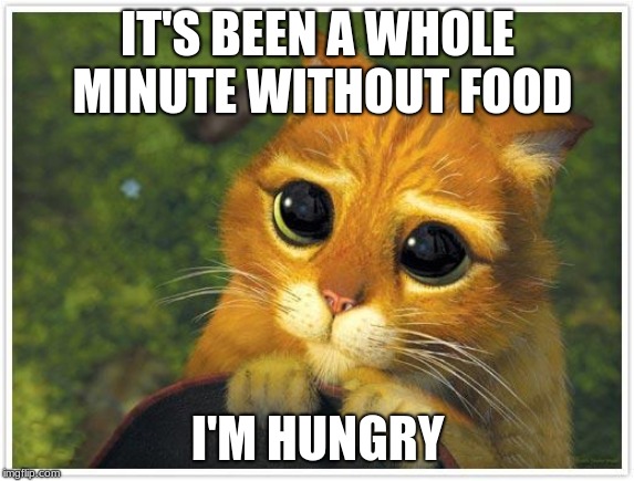 Shrek Cat Meme | IT'S BEEN A WHOLE MINUTE WITHOUT FOOD; I'M HUNGRY | image tagged in memes,shrek cat | made w/ Imgflip meme maker