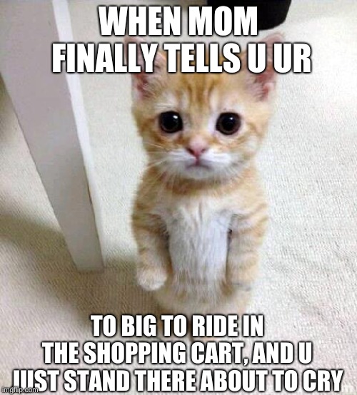 true story (sub to my YouTube channel it's called Sypheck) | WHEN MOM FINALLY TELLS U UR; TO BIG TO RIDE IN THE SHOPPING CART, AND U JUST STAND THERE ABOUT TO CRY | image tagged in memes,cute cat,little kid,little kids,little kid memes,lil kid memes | made w/ Imgflip meme maker