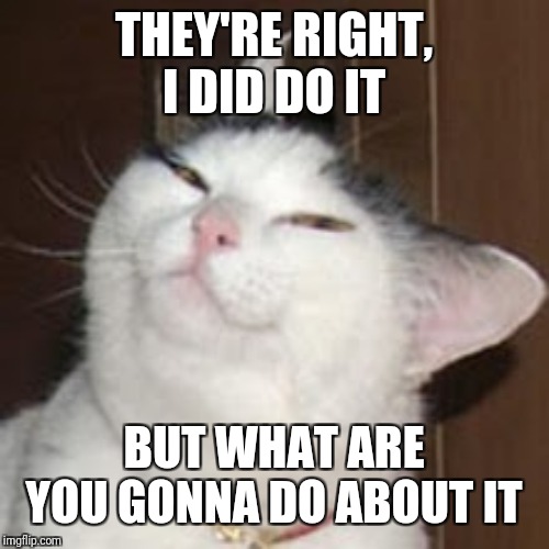 smug cat | THEY'RE RIGHT, I DID DO IT BUT WHAT ARE YOU GONNA DO ABOUT IT | image tagged in smug cat | made w/ Imgflip meme maker