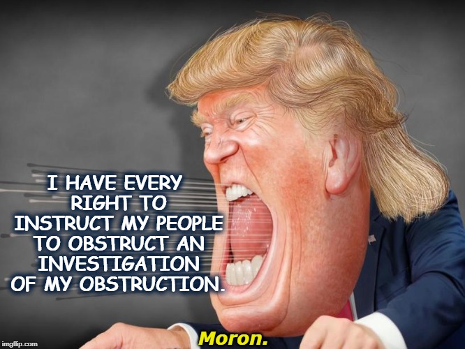 Another day. Gee whiz, what a moron. | I HAVE EVERY RIGHT TO INSTRUCT MY PEOPLE TO OBSTRUCT AN INVESTIGATION OF MY OBSTRUCTION. Moron. | image tagged in trump,obstruct,obstruction of justice,investigation | made w/ Imgflip meme maker