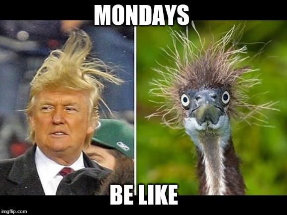 Mondays | MONDAYS; BE LIKE | image tagged in same | made w/ Imgflip meme maker