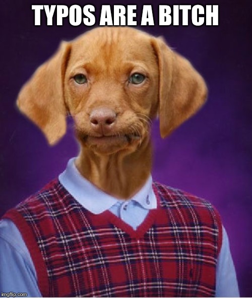 Bad Luck Raydog | TYPOS ARE A B**CH | image tagged in bad luck raydog | made w/ Imgflip meme maker