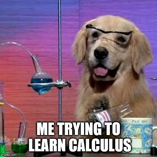 I Have No Idea What I Am Doing Dog Meme | ME TRYING TO LEARN CALCULUS | image tagged in memes,i have no idea what i am doing dog | made w/ Imgflip meme maker