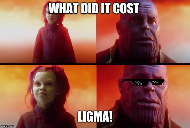 thanos what did it cost | WHAT DID IT COST; LIGMA! | image tagged in thanos what did it cost | made w/ Imgflip meme maker