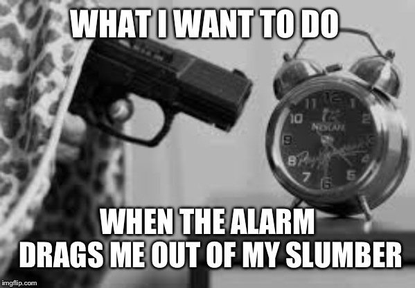 The 6:15 alarm | WHAT I WANT TO DO; WHEN THE ALARM DRAGS ME OUT OF MY SLUMBER | image tagged in alarm clock | made w/ Imgflip meme maker