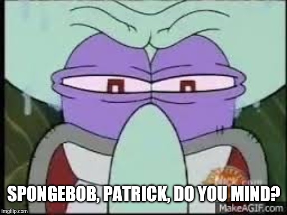 Angry Squidward | SPONGEBOB, PATRICK, DO YOU MIND? | image tagged in angry squidward | made w/ Imgflip meme maker