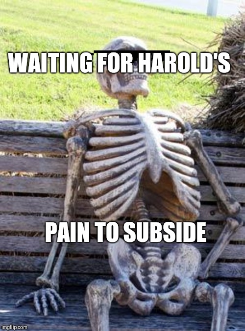 Waiting Skeleton Meme | WAITING FOR HAROLD'S; PAIN TO SUBSIDE | image tagged in memes,waiting skeleton | made w/ Imgflip meme maker