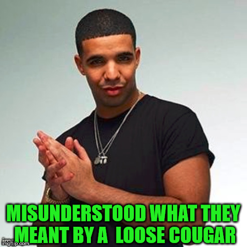 Horny Drake | MISUNDERSTOOD WHAT THEY MEANT BY A  LOOSE COUGAR | image tagged in horny drake | made w/ Imgflip meme maker