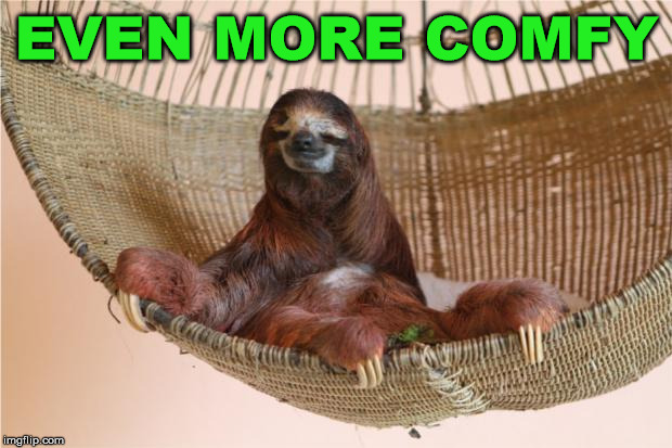 Sloth Hammock | EVEN MORE COMFY | image tagged in sloth hammock | made w/ Imgflip meme maker