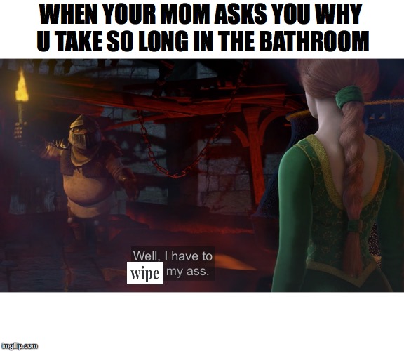 WiPe | WHEN YOUR MOM ASKS YOU WHY U TAKE SO LONG IN THE BATHROOM | image tagged in shrek,movie,ass,dragon,memes,funny | made w/ Imgflip meme maker