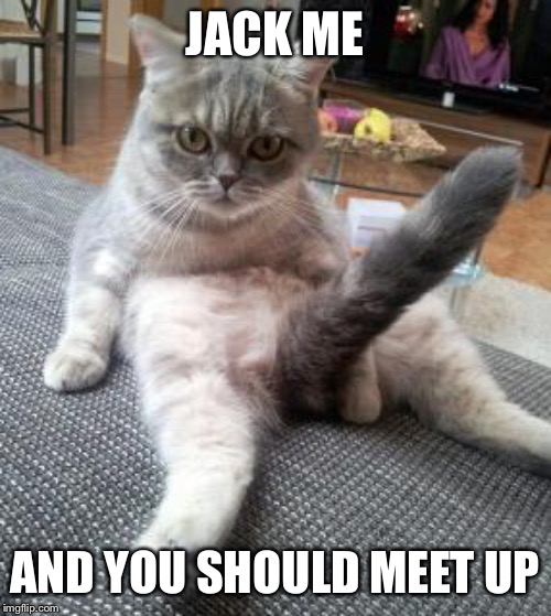 big pussy | JACK ME AND YOU SHOULD MEET UP | image tagged in big pussy | made w/ Imgflip meme maker