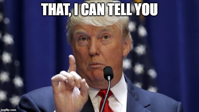 Trump - That I Can Tell You | THAT, I CAN TELL YOU | image tagged in trump - that i can tell you | made w/ Imgflip meme maker