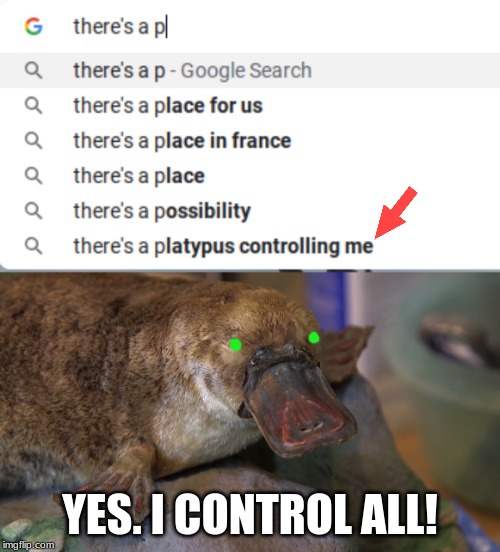 I was going to search "There's a pickle in my pepper jar" (because there was >:(    ) But okay... | YES. I CONTROL ALL! | image tagged in platypus,google,google search,memes,funny,mind control | made w/ Imgflip meme maker