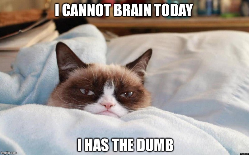 grumpy cat bed | I CANNOT BRAIN TODAY; I HAS THE DUMB | image tagged in grumpy cat bed | made w/ Imgflip meme maker