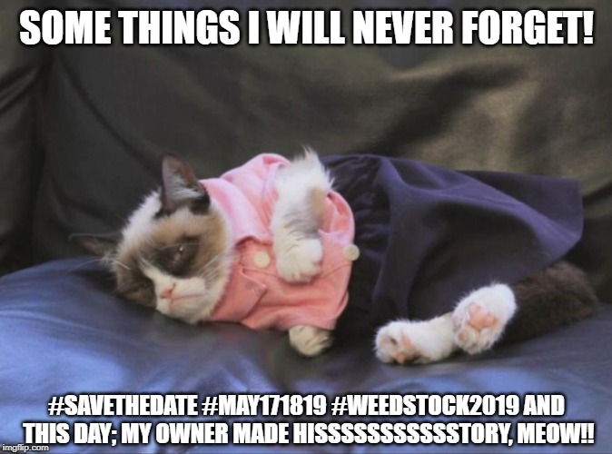 Grumpy Cat Dressed Up | SOME THINGS I WILL NEVER FORGET! #SAVETHEDATE #MAY171819 #WEEDSTOCK2019 AND THIS DAY; MY OWNER MADE HISSSSSSSSSSSTORY, MEOW!! | image tagged in grumpy cat dressed up | made w/ Imgflip meme maker