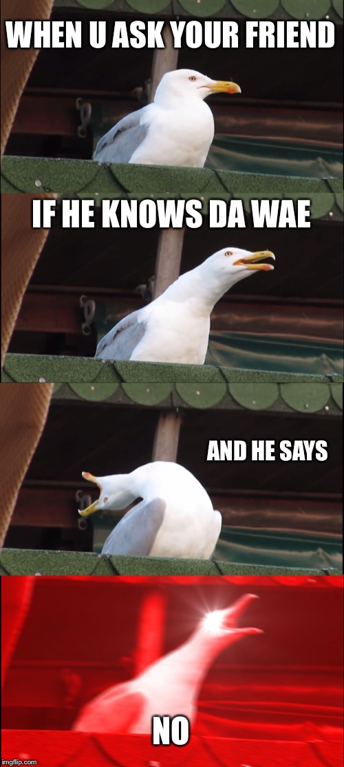 He don’t know DA WAE | WHEN U ASK YOUR FRIEND; IF HE KNOWS DA WAE; AND HE SAYS; NO | image tagged in memes,inhaling seagull | made w/ Imgflip meme maker