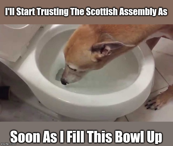 I'll Start Trusting The Scottish
Assembly As; Soon As I Fill This Bowl Up | made w/ Imgflip meme maker