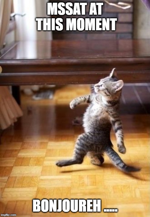 Cool Cat Stroll | MSSAT AT THIS MOMENT; BONJOUREH ..... | image tagged in memes,cool cat stroll | made w/ Imgflip meme maker