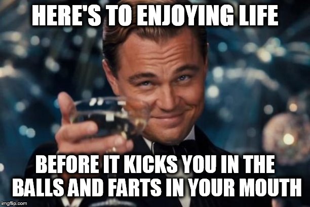 Leonardo Dicaprio Cheers Meme | HERE'S TO ENJOYING LIFE; BEFORE IT KICKS YOU IN THE BALLS AND FARTS IN YOUR MOUTH | image tagged in memes,leonardo dicaprio cheers | made w/ Imgflip meme maker