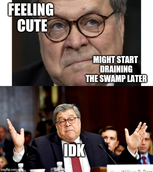 Barr testimony...just had that look sometimes. | FEELING CUTE; MIGHT START DRAINING THE SWAMP LATER; IDK | image tagged in barr,politics,political meme | made w/ Imgflip meme maker