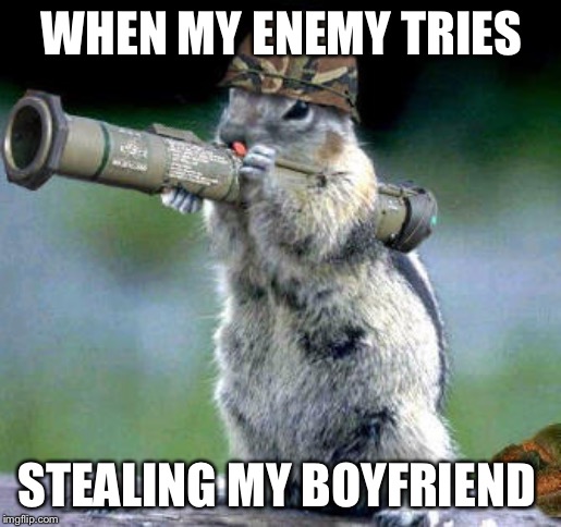 Bazooka Squirrel | WHEN MY ENEMY TRIES; STEALING MY BOYFRIEND | image tagged in memes,bazooka squirrel | made w/ Imgflip meme maker