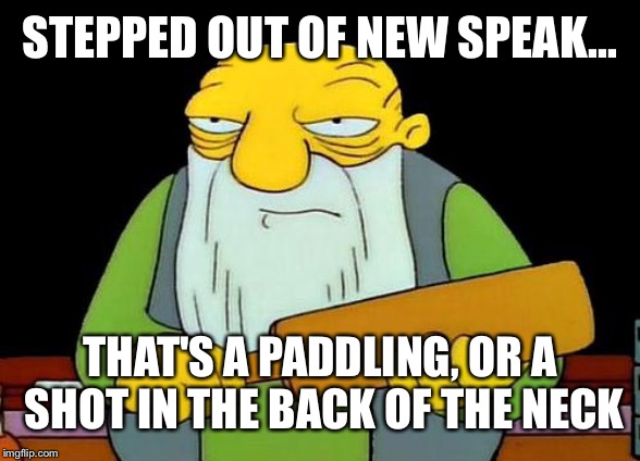 That's a paddlin' Meme | STEPPED OUT OF NEW SPEAK... THAT'S A PADDLING, OR A SHOT IN THE BACK OF THE NECK | image tagged in memes,that's a paddlin' | made w/ Imgflip meme maker