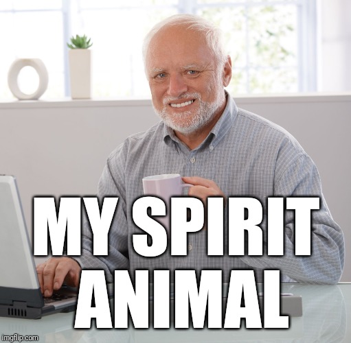 MY SPIRIT ANIMAL | image tagged in hide the pain harold | made w/ Imgflip meme maker