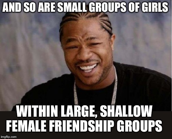 Yo Dawg Heard You Meme | AND SO ARE SMALL GROUPS OF GIRLS WITHIN LARGE, SHALLOW FEMALE FRIENDSHIP GROUPS | image tagged in memes,yo dawg heard you | made w/ Imgflip meme maker