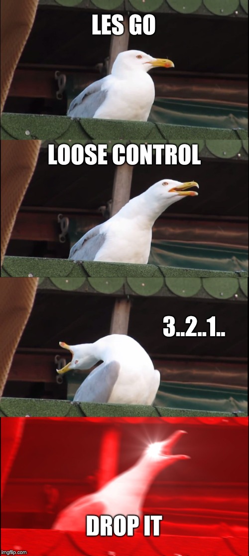 Inhaling Seagull | LES GO; LOOSE CONTROL; 3..2..1.. DROP IT | image tagged in memes,inhaling seagull | made w/ Imgflip meme maker