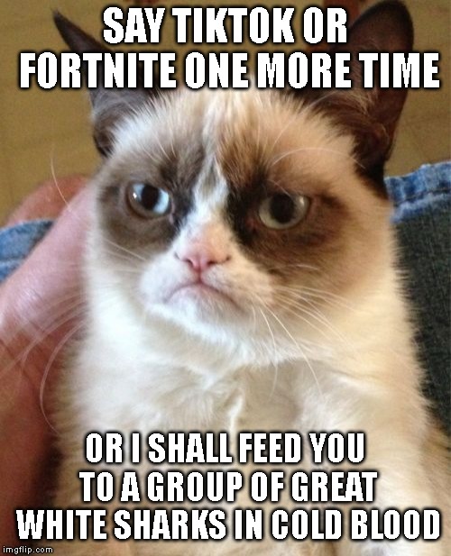 Me in a nutshell | SAY TIKTOK OR FORTNITE ONE MORE TIME; OR I SHALL FEED YOU TO A GROUP OF GREAT WHITE SHARKS IN COLD BLOOD | image tagged in memes,grumpy cat,tik tok,fortnite | made w/ Imgflip meme maker