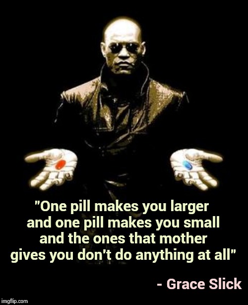 "White Rabbit" by Jefferson Airplane | "One pill makes you larger and one pill makes you small and the ones that mother gives you don't do anything at all"; - Grace Slick | image tagged in blue pill red pill,classic rock,1960's,alice in wonderland,airplane,starship troopers | made w/ Imgflip meme maker