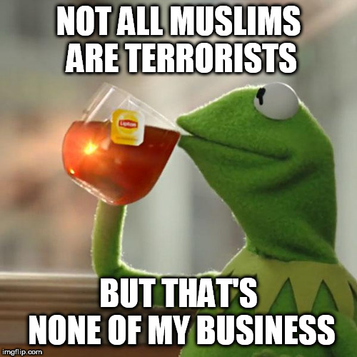 But That's None Of My Business Meme | NOT ALL MUSLIMS ARE TERRORISTS; BUT THAT'S NONE OF MY BUSINESS | image tagged in memes,but thats none of my business,kermit the frog,islamophobia,terrorism,islam | made w/ Imgflip meme maker