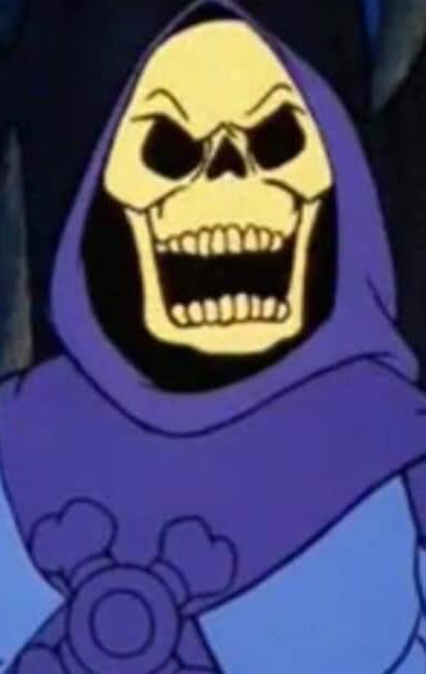 High Quality Skeletor Blank Meme Template