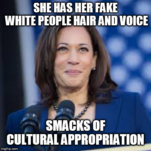 harris | SHE HAS HER FAKE WHITE PEOPLE HAIR AND VOICE; SMACKS OF CULTURAL APPROPRIATION | image tagged in harris | made w/ Imgflip meme maker